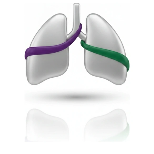 Pulmonology at THANC Hospital Chennai