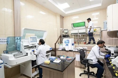 Laboratory at THANC Hospital
